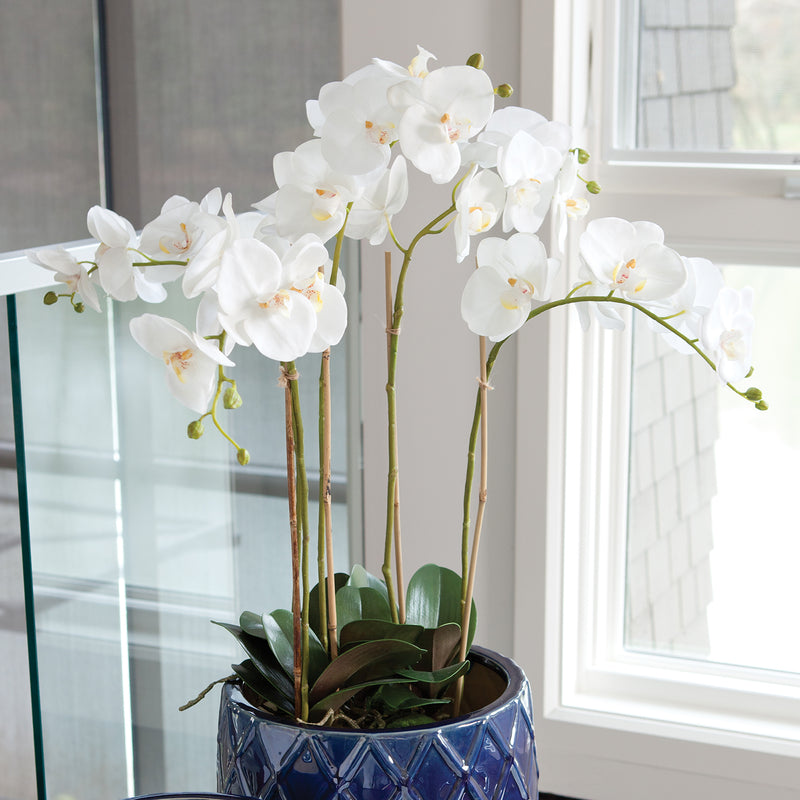 Phalaenopsis Orchid Bowl 25in Drop-In Faux Plant