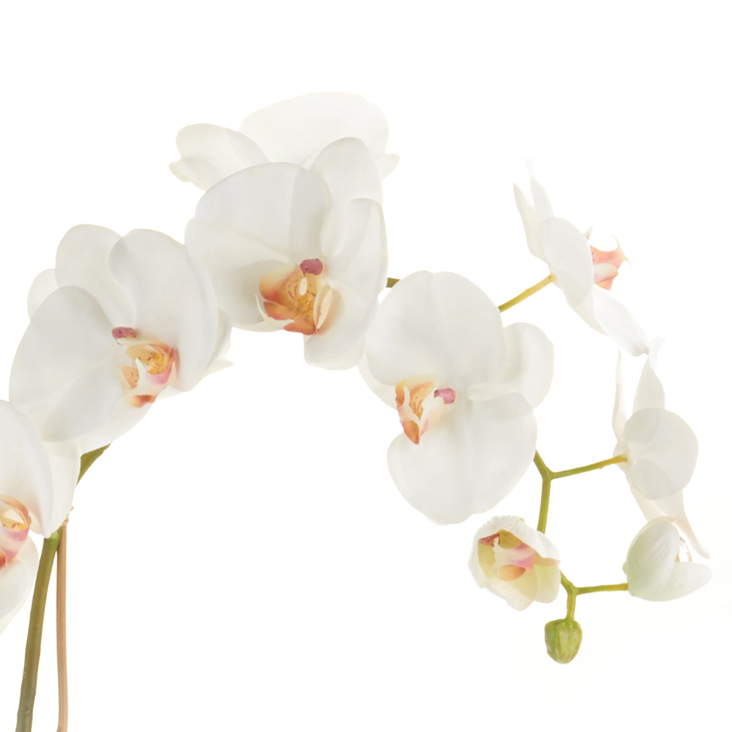 Phalaenopsis Orchid Drop-In Faux Plant