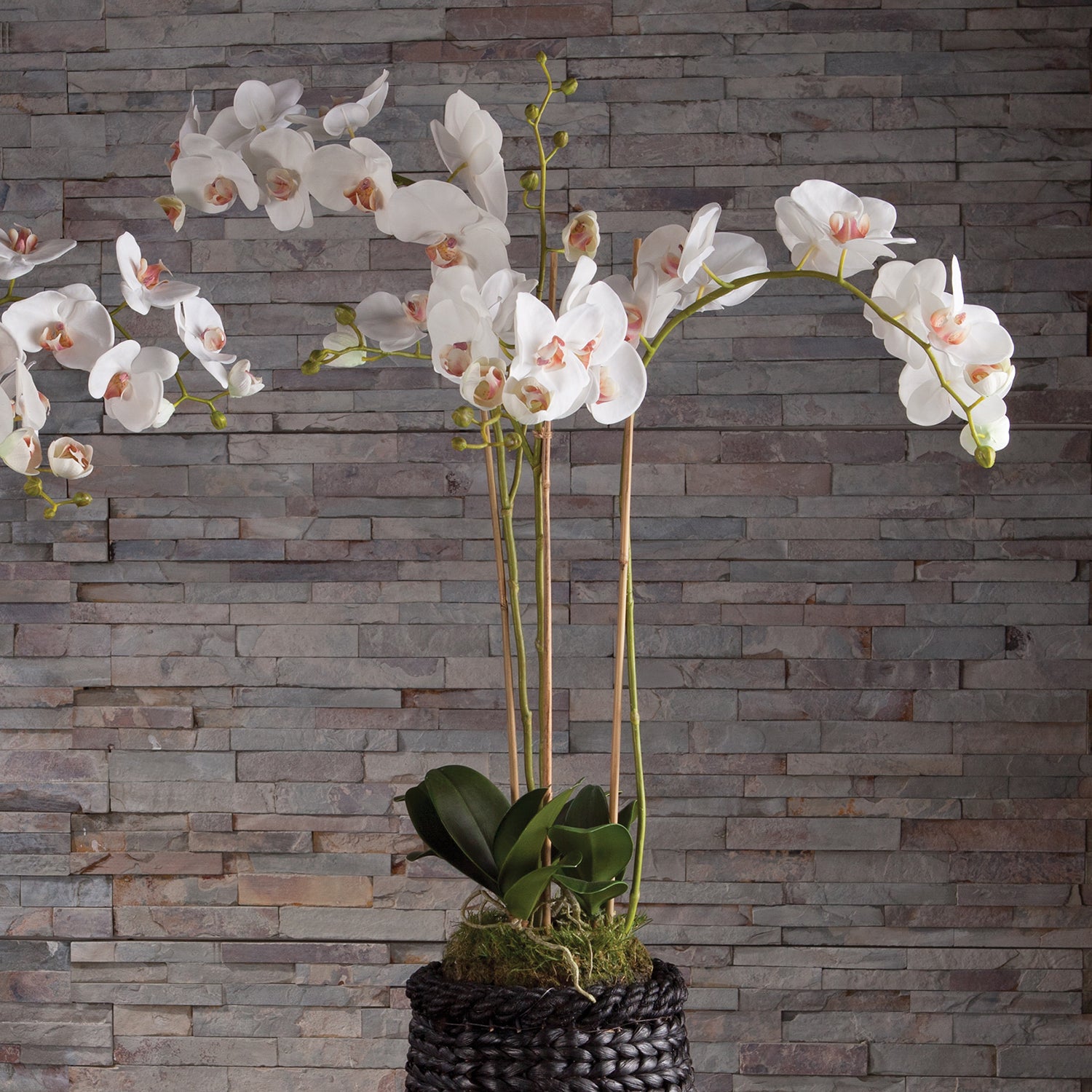 Phalaenopsis Orchid Drop-In Faux Plant