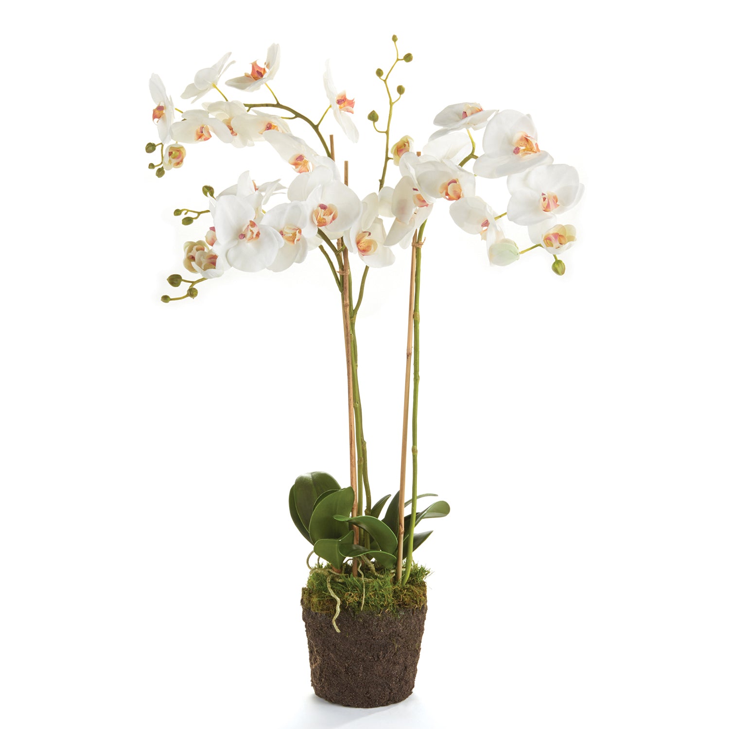 Phalaenopsis Orchid Drop-In Faux Plant