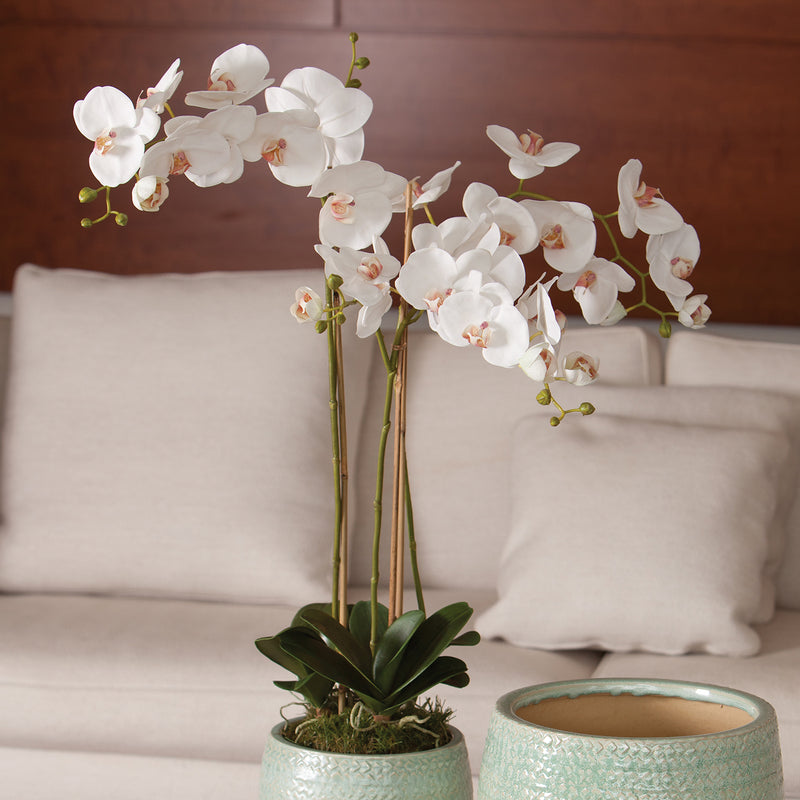 Phalaenopsis Orchid Drop-In Faux Plant