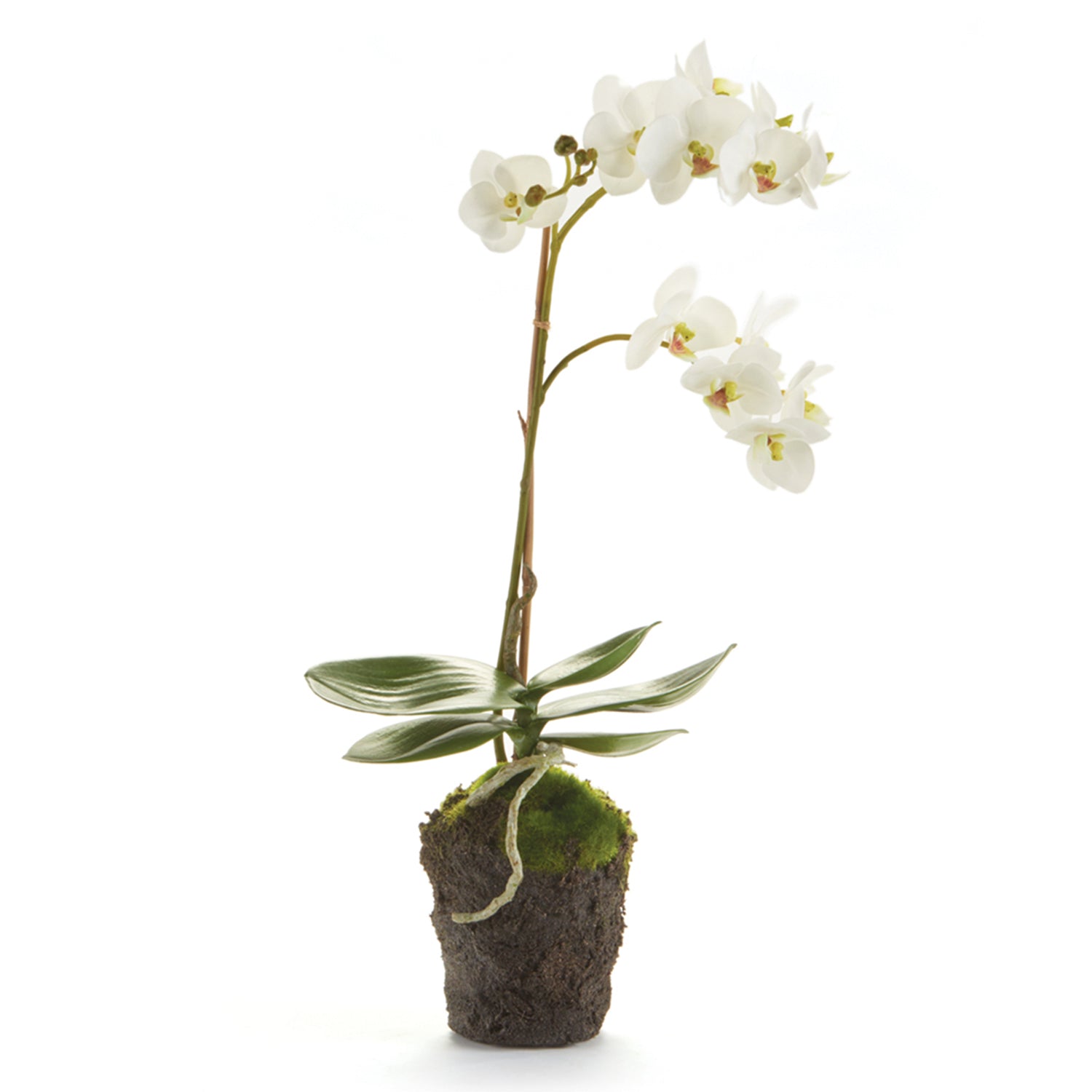 Phalaenopsis Orchid 17in Drop-In Faux Plant