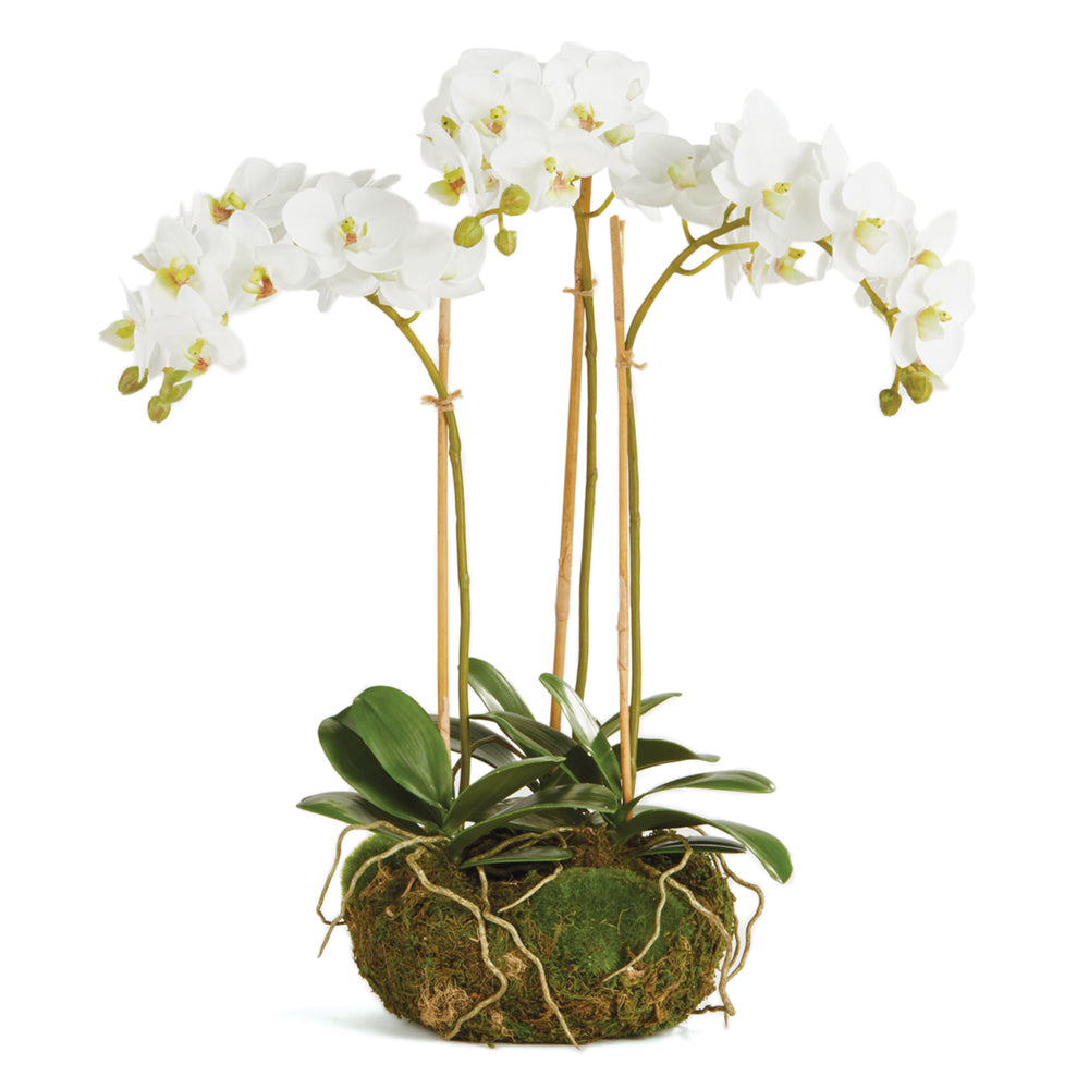 Phalaenopsis Orchid Mini Garden Drop-In Faux Plant