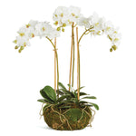 Phalaenopsis Orchid Mini Garden Drop-In Faux Plant