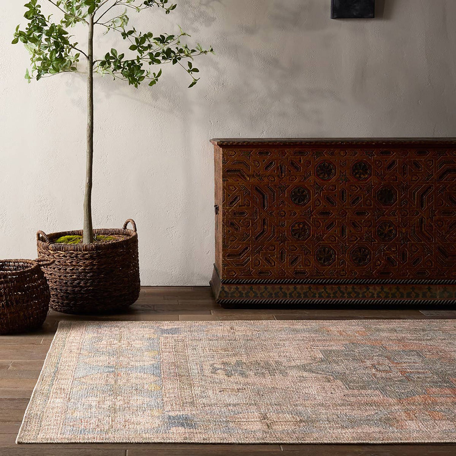 Jaipur Living Kindred Savine Power Loomed Rug