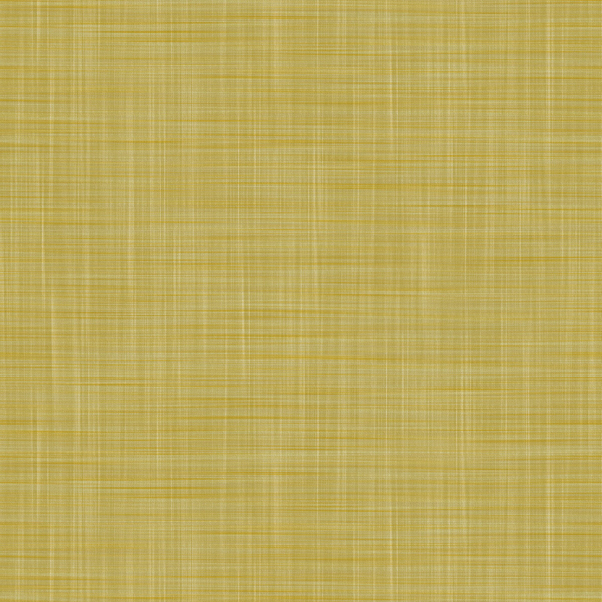 Gaston Y Daniela Mahon Lima Wallpaper