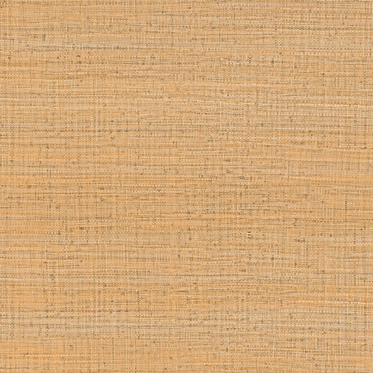 Gaston Y Daniela Ayllon Paja Wallpaper