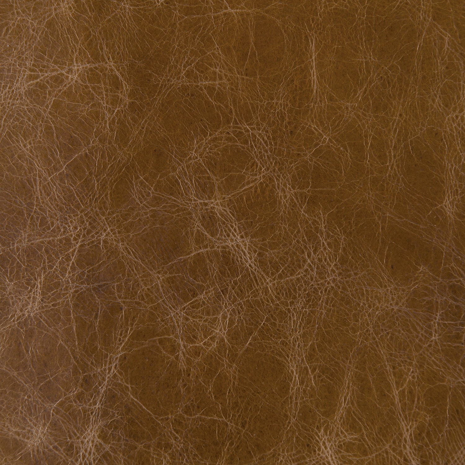 Noir Wooster Dining Chair