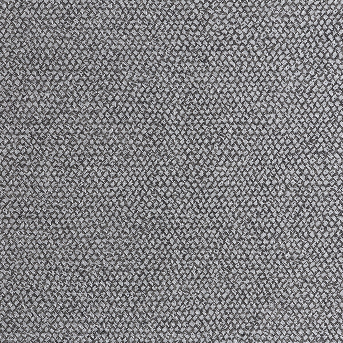 Lizzo Legend x Kravet Design Cesto 19 Wallpaper