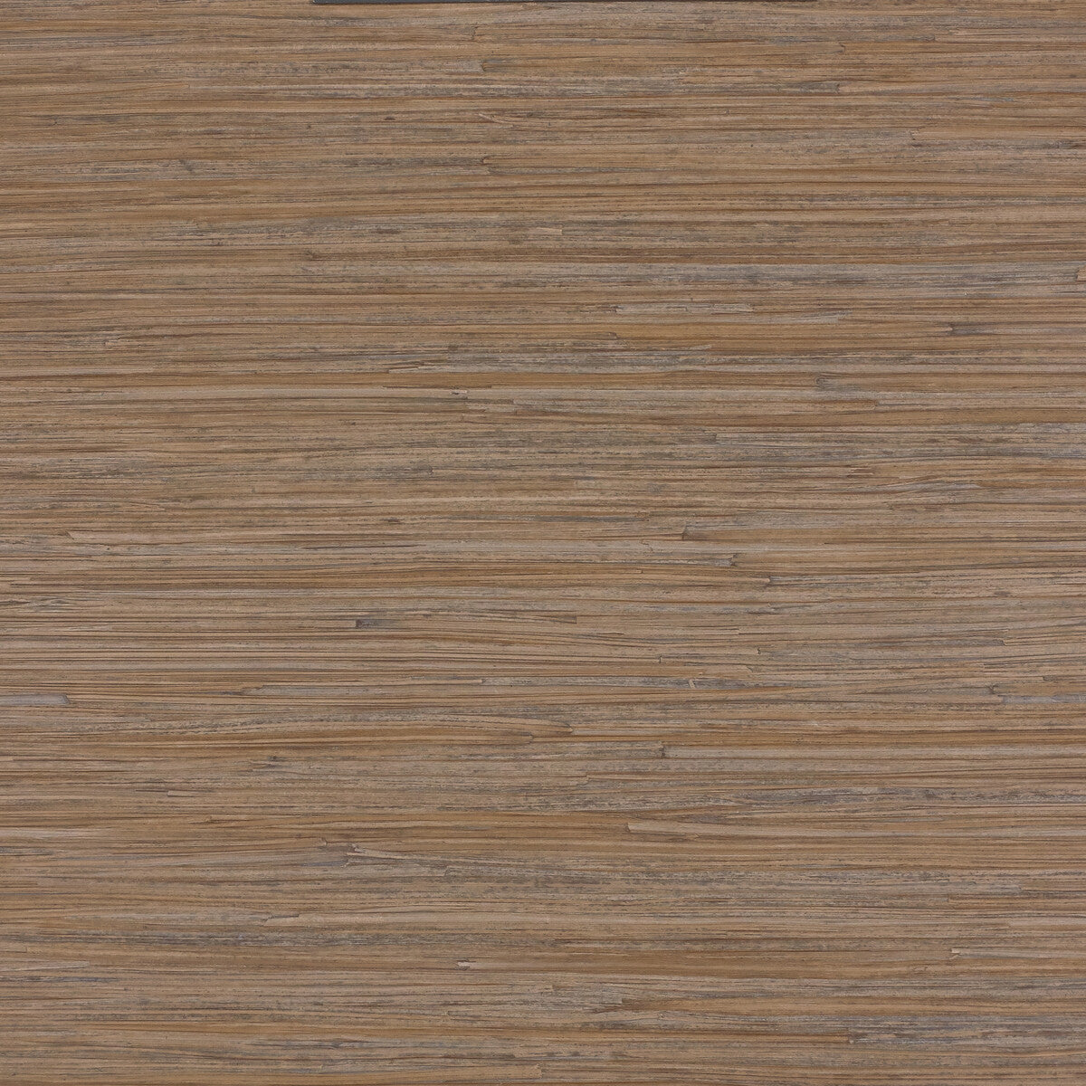 Lizzo Legend x Kravet Design Enea 1 Wallpaper