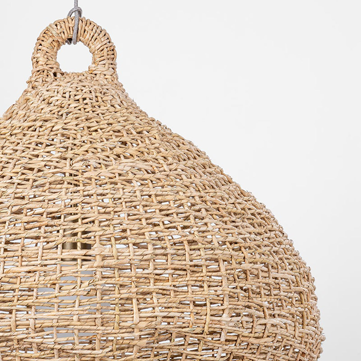 Troy Lighting Lechlan Pendant