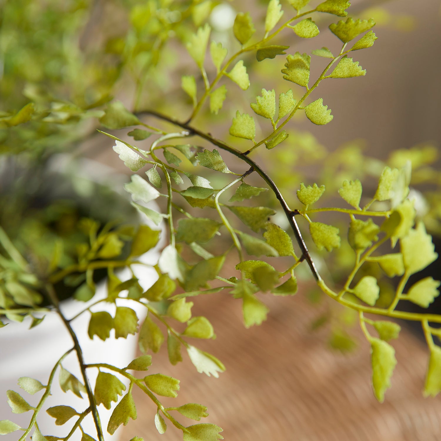 Maidenhair Drop-In Faux Plant