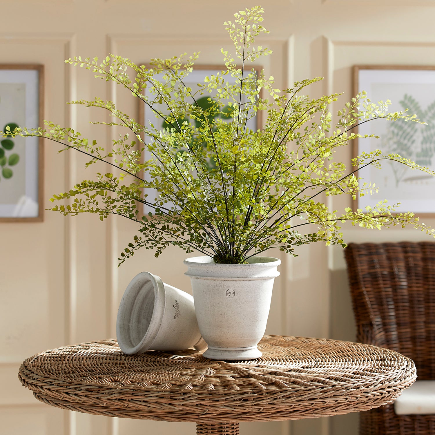 Maidenhair Drop-In Faux Plant