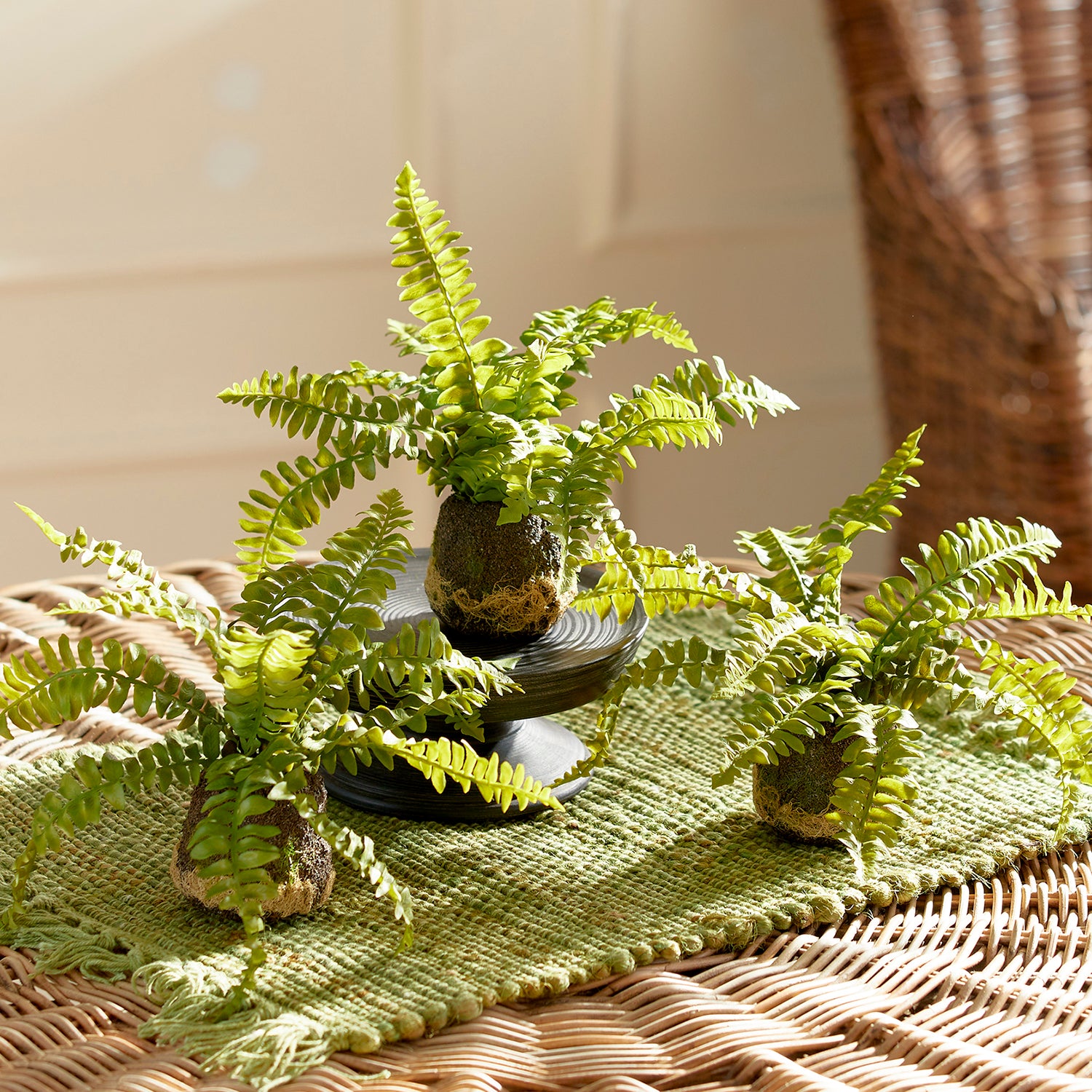 Boston Fern Drop-In Faux Plant Set of 3