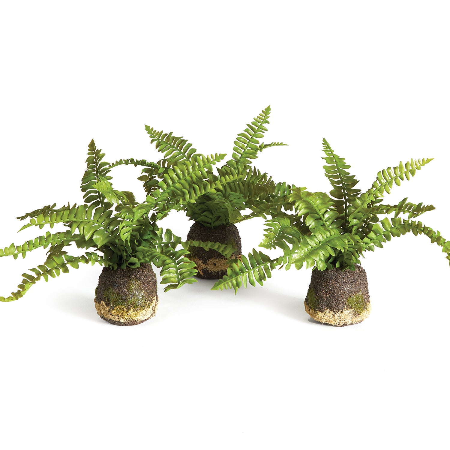 Boston Fern Drop-In Faux Plant Set of 3
