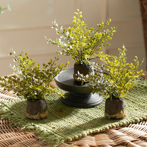 Maidenhair Drop-In Faux Plant Set of 3