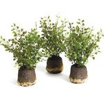 Maidenhair Drop-In Faux Plant Set of 3