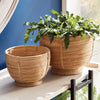 Cane Rattan Decorative Footed Bowl Set of 2