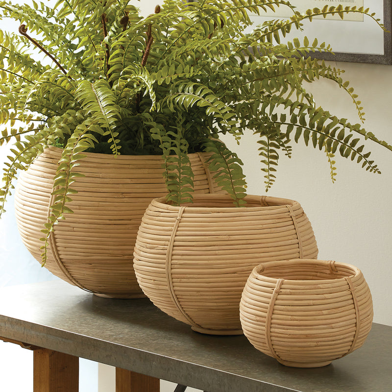 Cane Rattan Plant Basket Set of 3