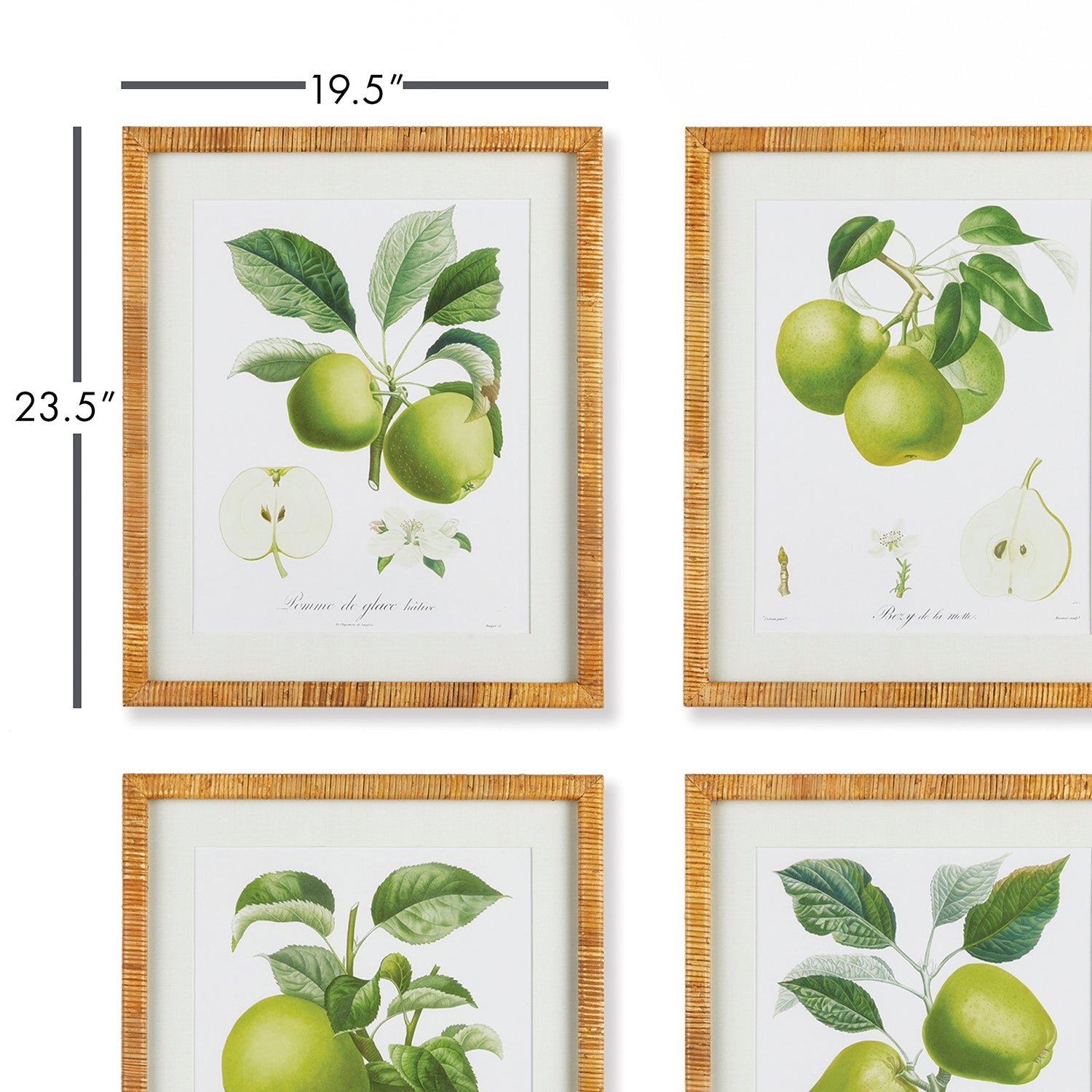 Fruit Study Wall Art Set of 4