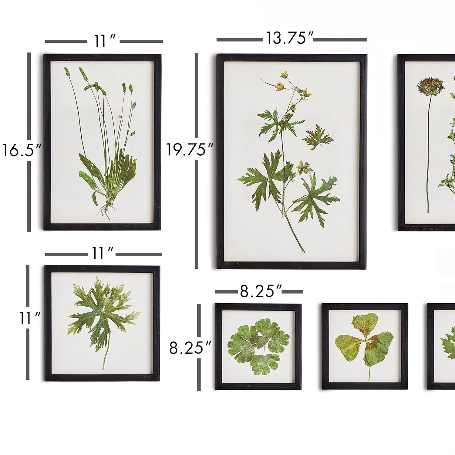 Foliage Wall Art Set of 9
