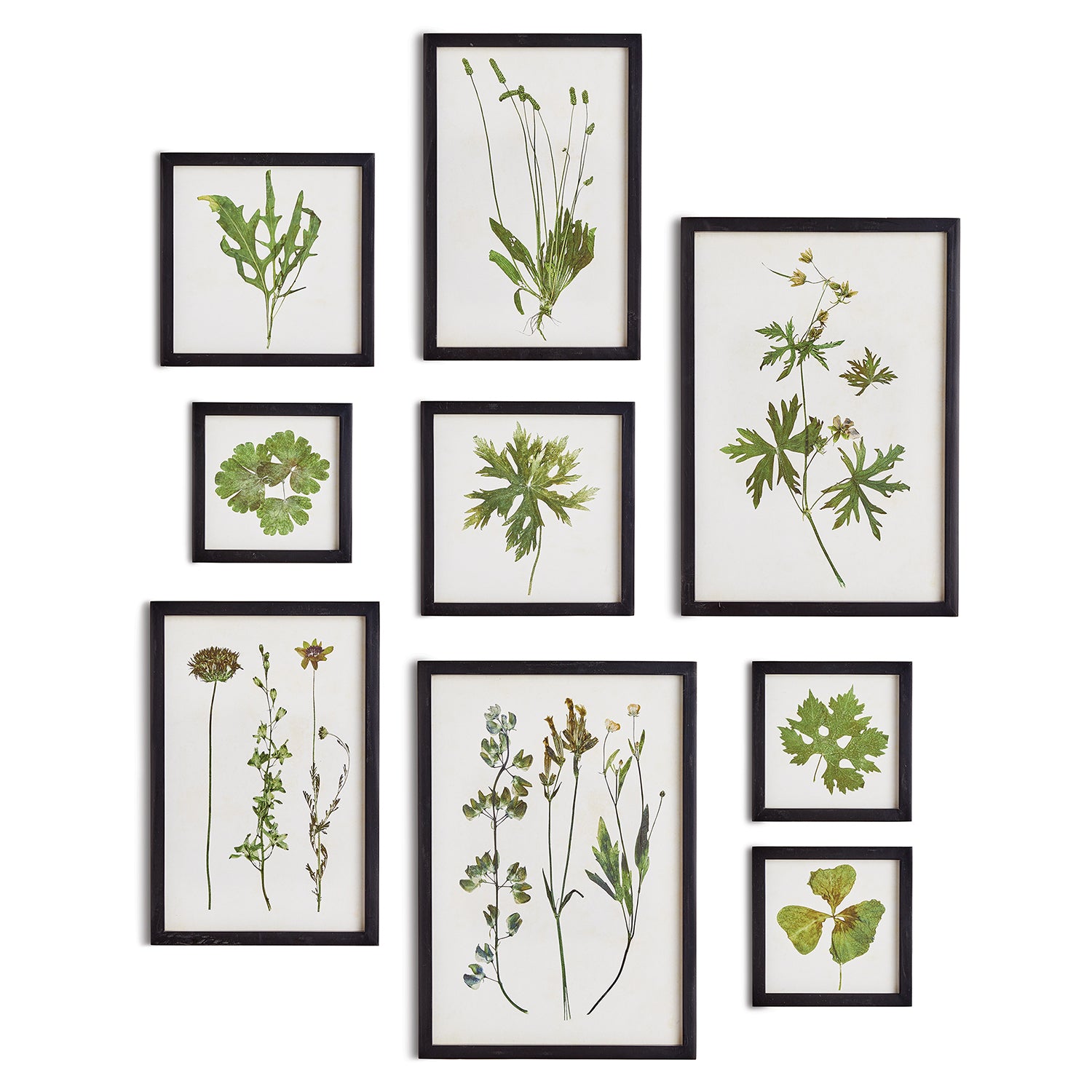 Foliage Wall Art Set of 9