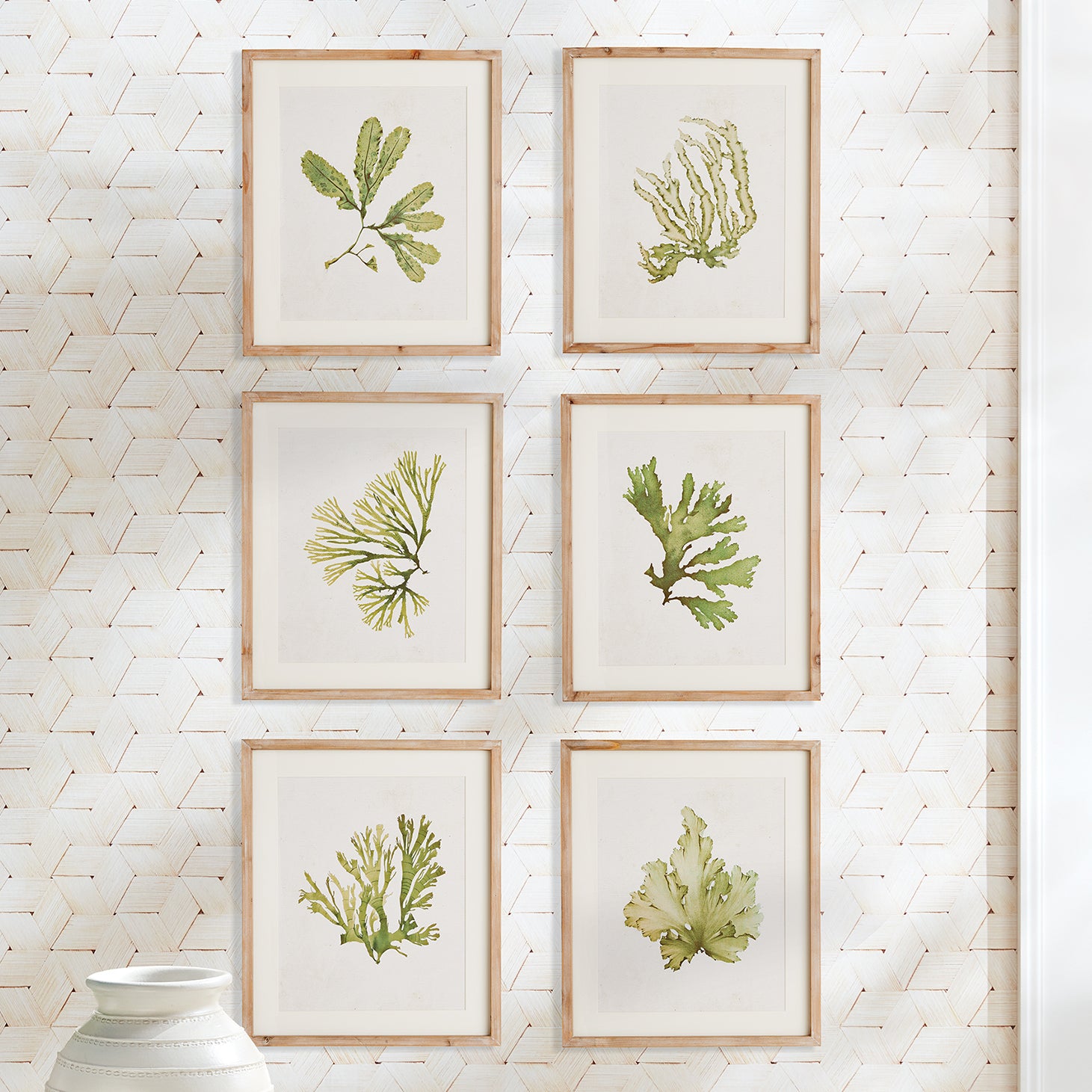 Kelp Wall Art Set of 6