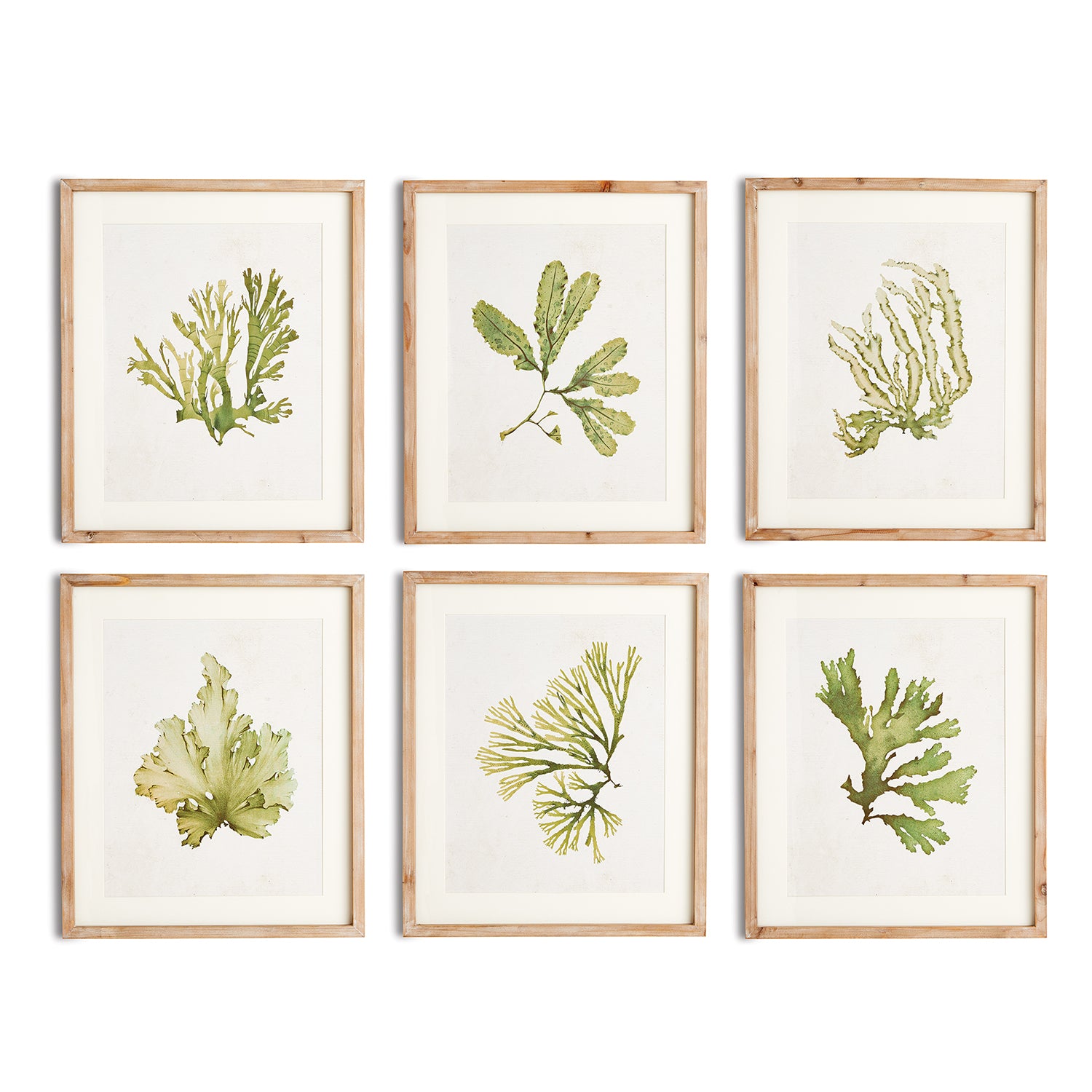 Kelp Wall Art Set of 6