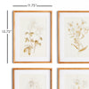 Fleur De Blanc Print Wall Art Set of 4