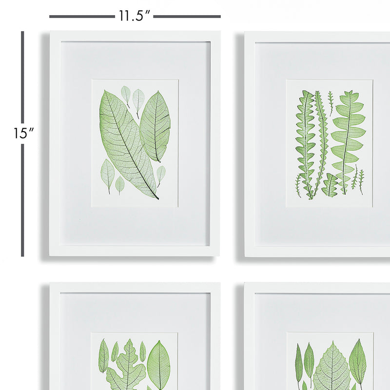 Assorted Leaf Print Wall Art Set of 4