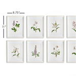 Flowers In Bloom Petite Print Wall Art Set of 8