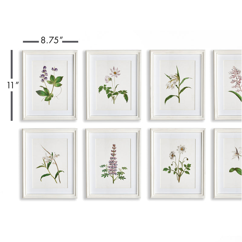 Flowers In Bloom Petite Print Wall Art Set of 8