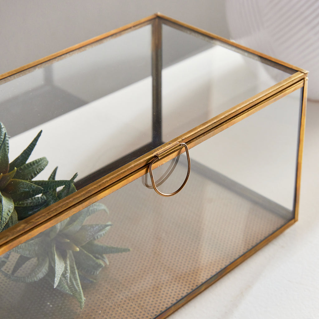 Rectangle Display Box Arwen Rectangular Display Box