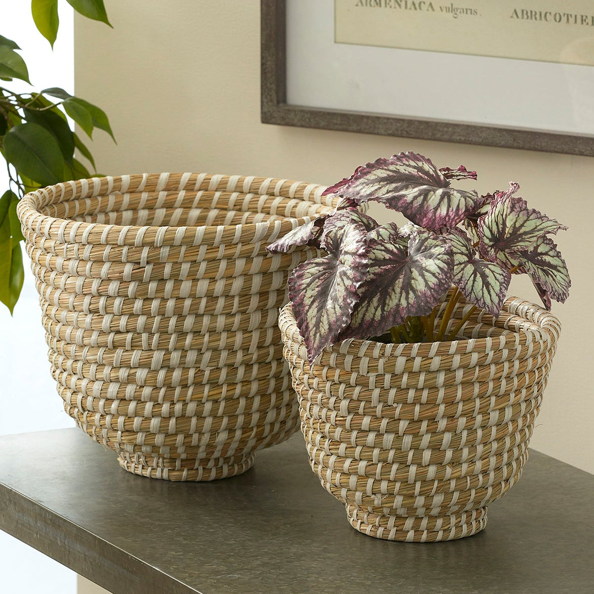 Rivergrass Decorative Footed Bowl Set of 2