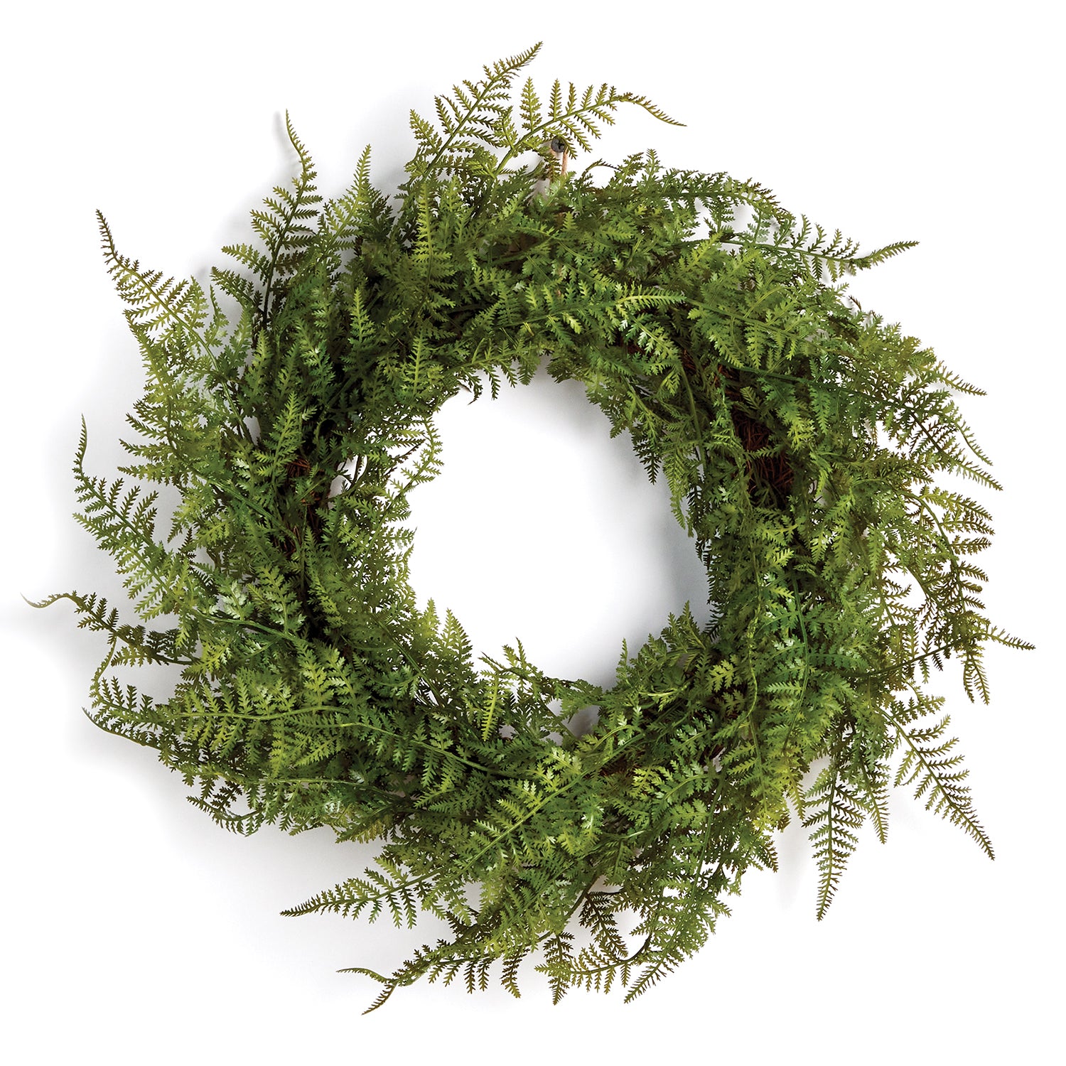 Fern 18in Wreath