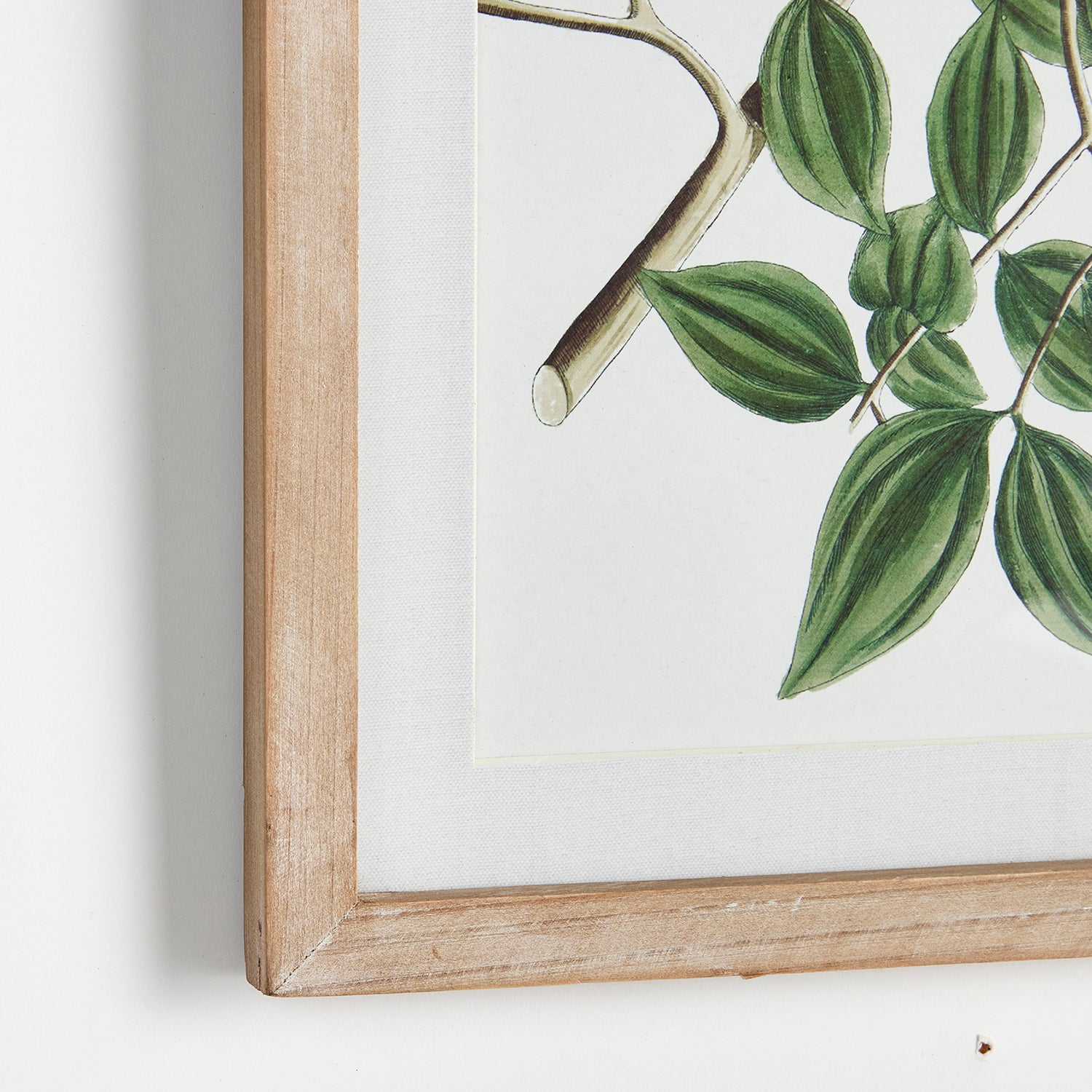 Verdant Branch Wall Art Set of 4