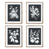 Monochrome Botanical Wall Art Set of 4