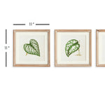 Leaf Cuttings Petite Print Wall Art Set of 3