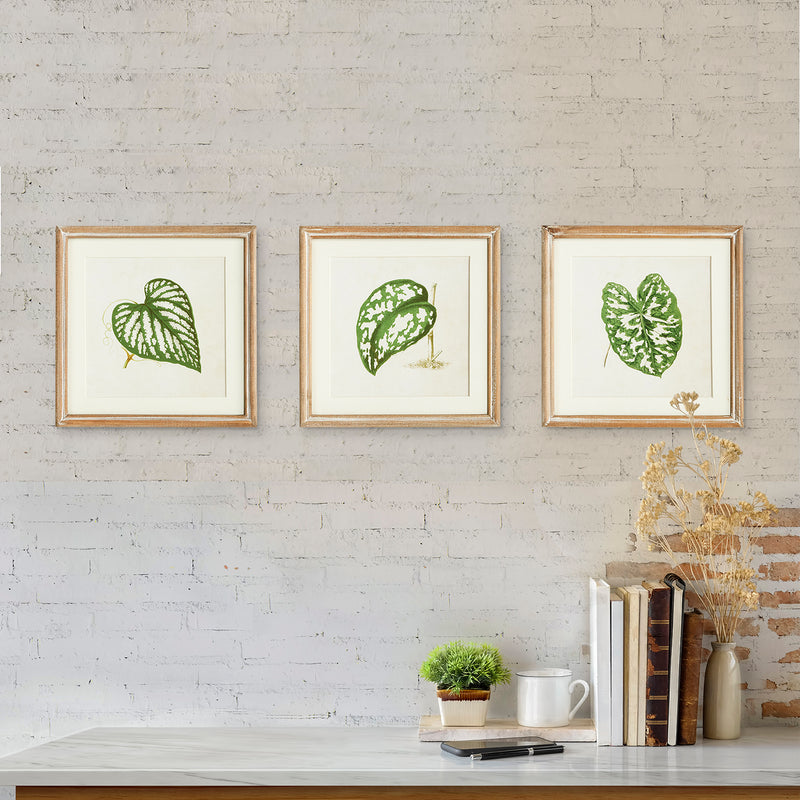 Leaf Cuttings Petite Print Wall Art Set of 3