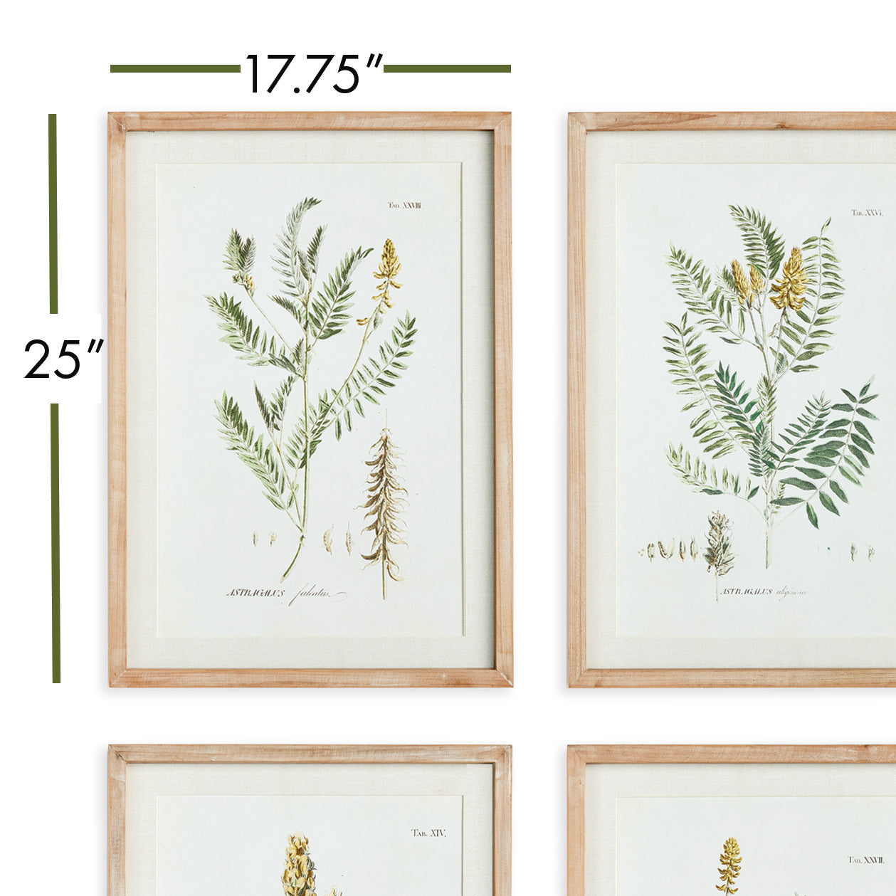 Mid-Summer Blooms Wall Art Set of 6