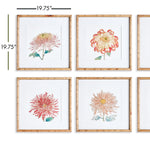 Colorful Chrysanthemum Print Wall Art Set of 6