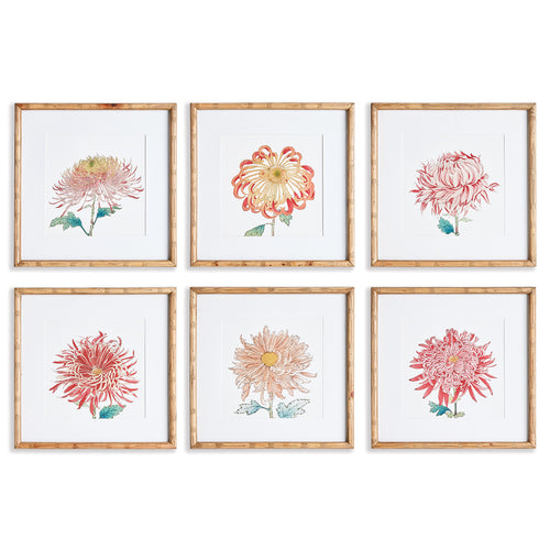 Colorful Chrysanthemum Print Wall Art Set of 6