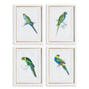 Colorful Parrots Print Wall Art Set of 4