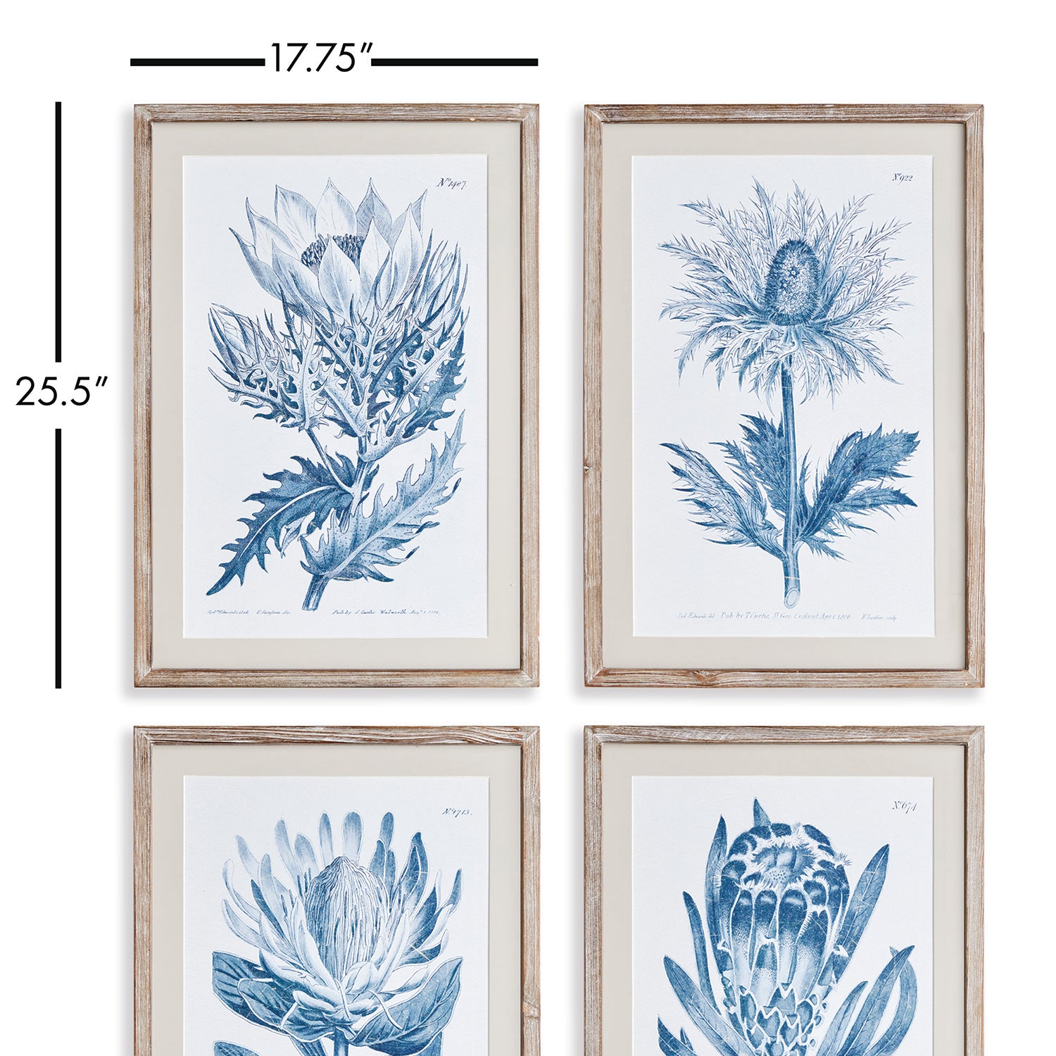 Indigo Protea Print Wall Art Set of 4