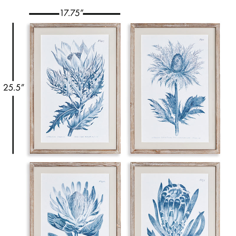Indigo Protea Print Wall Art Set of 4