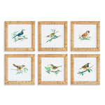 Songbird Petite Wall Art Set of 6