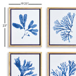 Indigo Seaweed Print Wall Art Set of 4