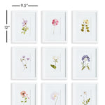 Mountain Flower Petite Wall Art Set of 9