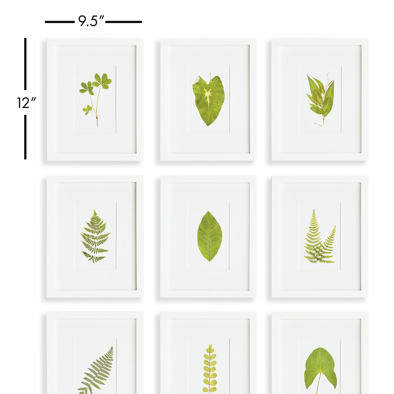 Green Leaf Petite Print Wall Art Set 9