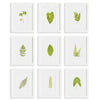 Green Leaf Petite Print Wall Art Set 9